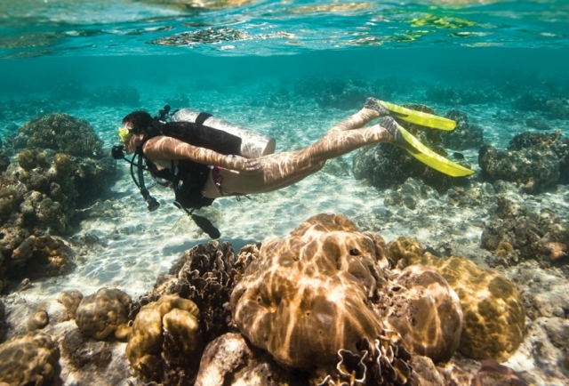  diving in reefs 